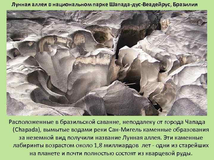 Лунная аллея в национальном парке Шапада-дус-Веадейрус, Бразилия Расположенные в бразильской саванне, неподалеку от города