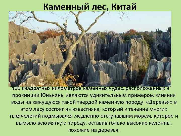 Каменный лес, Китай 400 квадратных километров каменных чудес, расположенных в провинции Юньнань, являются удивительным
