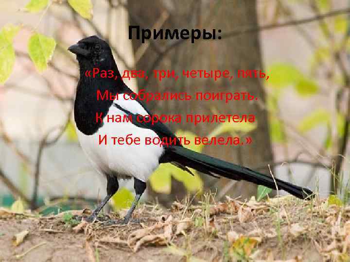 Примеры: «Раз, два, три, четыре, пять, Мы собрались поиграть. К нам сорока прилетела И
