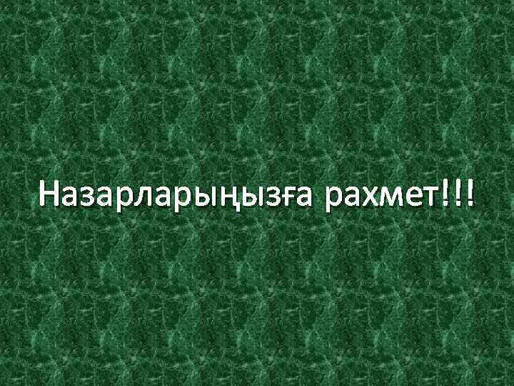 Назарларыңызға рахмет!!! 