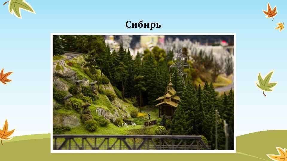 Сибирь 