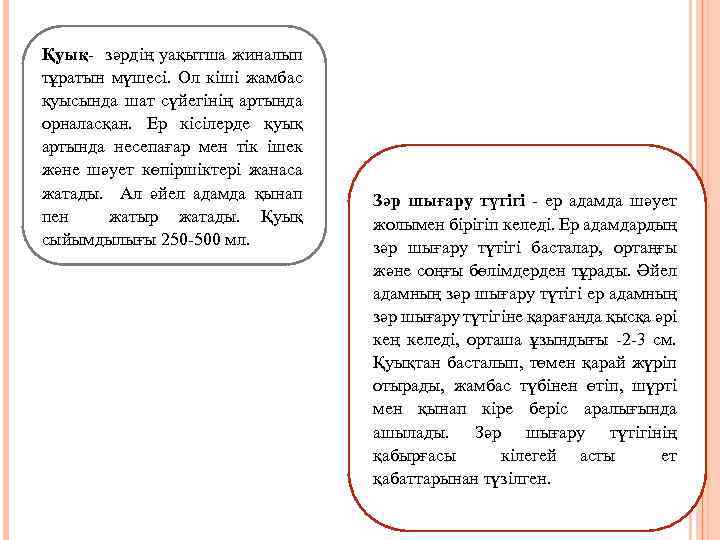 Қуық- зәрдің уақытша жиналып тұратын мүшесі. Ол кіші жамбас қуысында шат сүйегінің артында орналасқан.