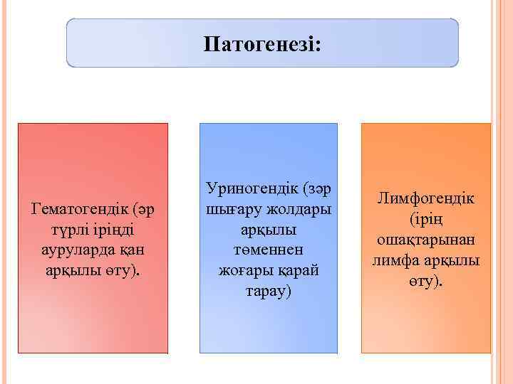 Патогенезі: Гематогендік (әр түрлі іріңді ауруларда қан арқылы өту). Уриногендік (зәр шығару жолдары арқылы