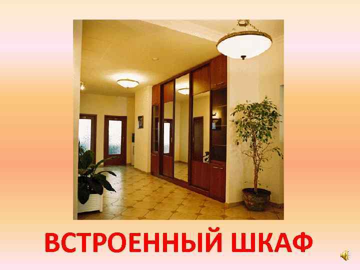 ВСТРОЕННЫЙ ШКАФ 