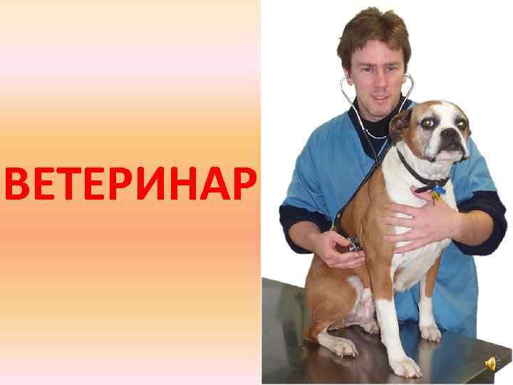 ВЕТЕРИНАР 