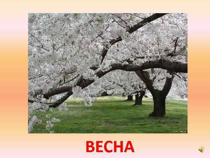 ВЕСНА 