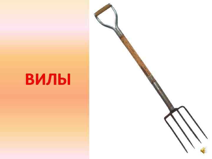 ВИЛЫ 