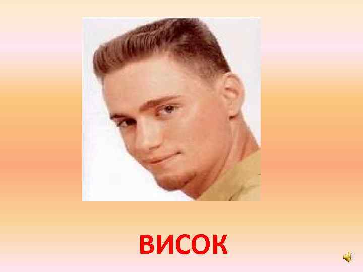 ВИСОК 