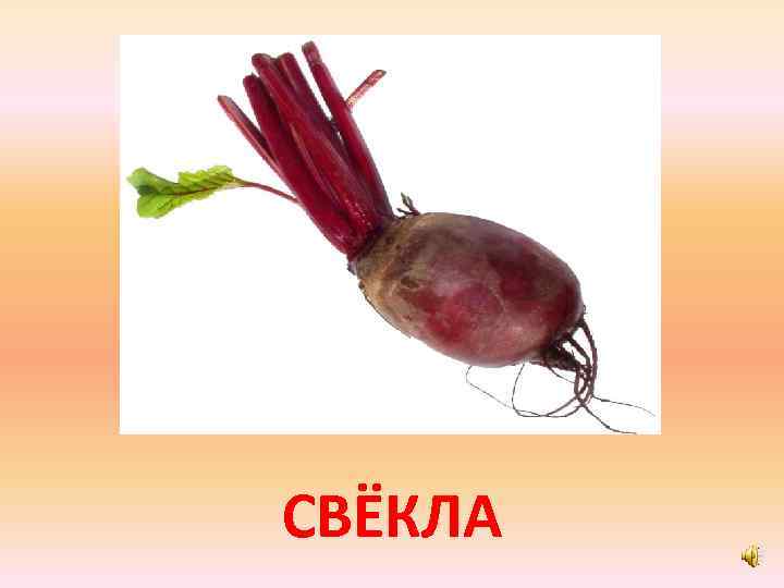 СВЁКЛА 