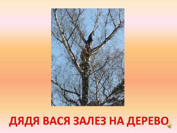 ДЯДЯ ВАСЯ ЗАЛЕЗ НА ДЕРЕВО 