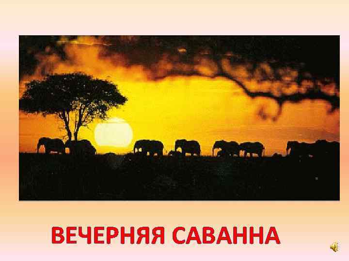 ВЕЧЕРНЯЯ САВАННА 