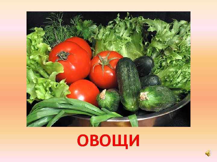 ОВОЩИ 