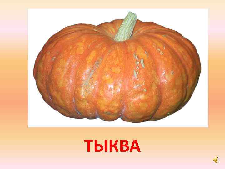 ТЫКВА 