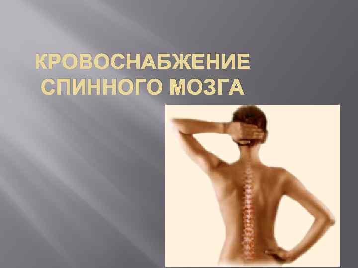 КРОВОСНАБЖЕНИЕ СПИННОГО МОЗГА 