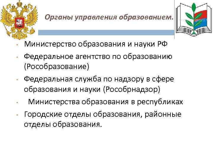 Федеральный орган в сфере общего образования. Органы управления образованием. Органы управления образованием в РФ схема. Схема в области образования и науки РФ. Органы управления образованием и наукой.