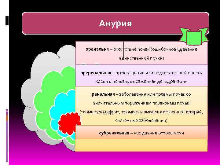   Анурия  аренальня – отсутствие почек (ошибочное удаление   единственной почки)