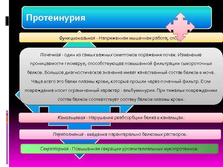 Протеинурия    Функциональная - Напряженная мышечная работа, спорт.   Почечная -