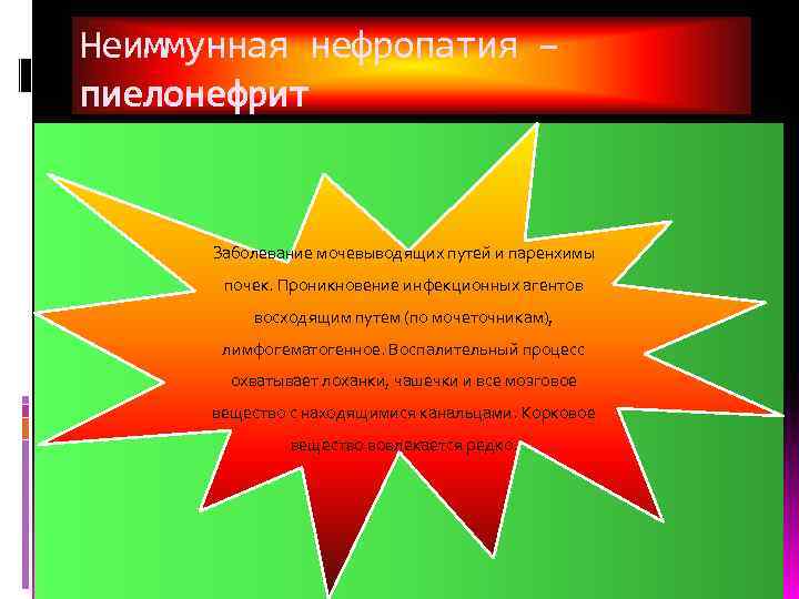 Неиммунная нефропатия – пиелонефрит   Заболевание мочевыводящих путей и паренхимы  почек. Проникновение