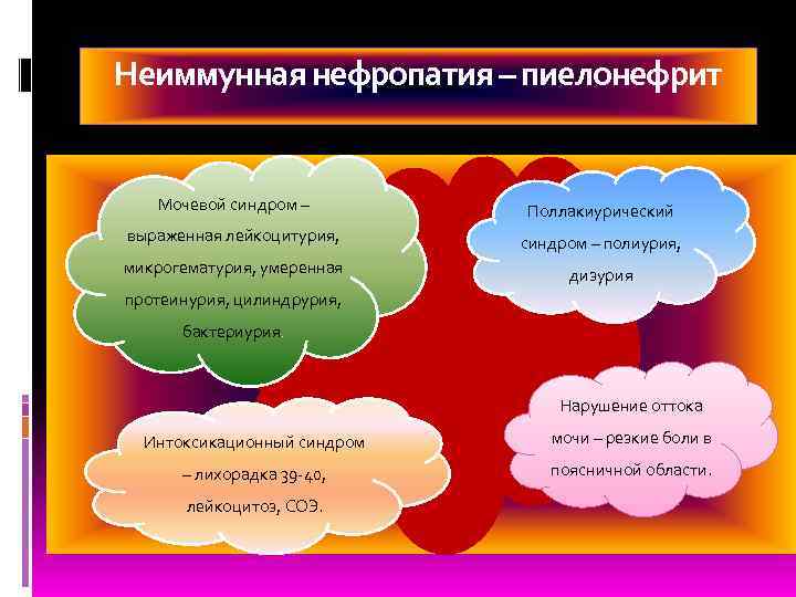 Неиммунная нефропатия – пиелонефрит Мочевой синдром –   Поллакиурический выраженная лейкоцитурия, синдром –