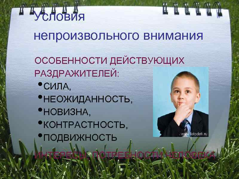 Условия непроизвольного внимания ОСОБЕННОСТИ ДЕЙСТВУЮЩИХ РАЗДРАЖИТЕЛЕЙ:  • СИЛА,  • НЕОЖИДАННОСТЬ,  •
