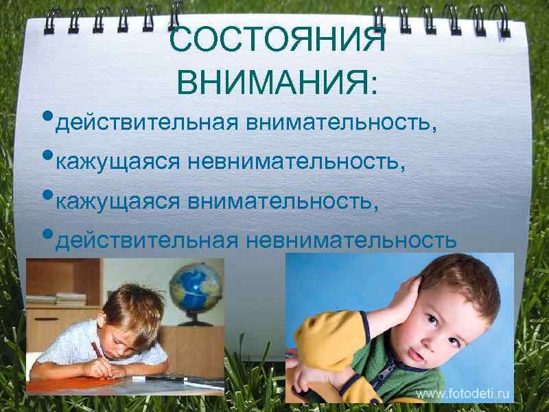    СОСТОЯНИЯ   ВНИМАНИЯ:  • действительная внимательность,  • кажущаяся