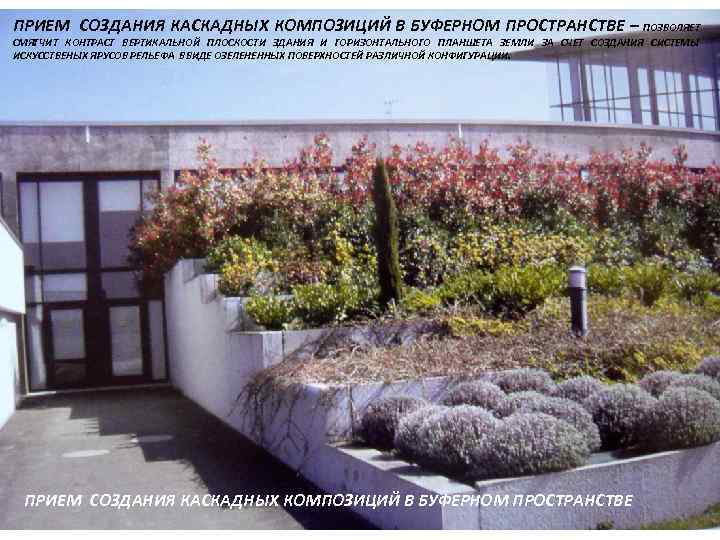 ПРИЕМ СОЗДАНИЯ КАСКАДНЫХ КОМПОЗИЦИЙ В БУФЕРНОМ ПРОСТРАНСТВЕ – ПОЗВОЛЯЕТ СМЯГЧИТ КОНТРАСТ ВЕРТИКАЛЬНОЙ ПЛОСКОСТИ ЗДАНИЯ