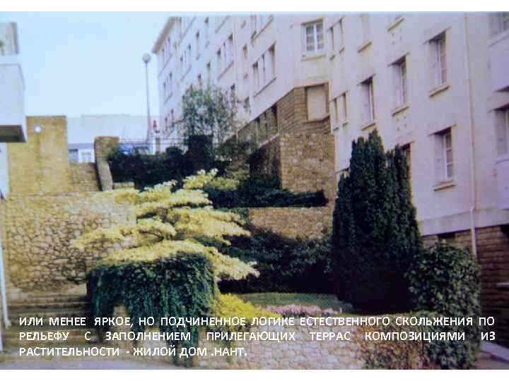 ИЛИ МЕНЕЕ ЯРКОЕ, НО ПОДЧИНЕННОЕ ЛОГИКЕ ЕСТЕСТВЕННОГО СКОЛЬЖЕНИЯ ПО РЕЛЬЕФУ С ЗАПОЛНЕНИЕМ ПРИЛЕГАЮЩИХ ТЕРРАС