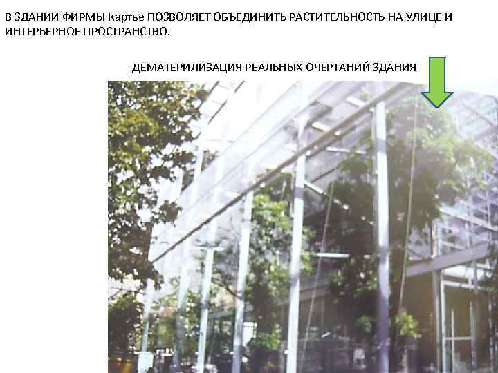 В ЗДАНИИ ФИРМЫ Картье ПОЗВОЛЯЕТ ОБЪЕДИНИТЬ РАСТИТЕЛЬНОСТЬ НА УЛИЦЕ И ИНТЕРЬЕРНОЕ ПРОСТРАНСТВО.  