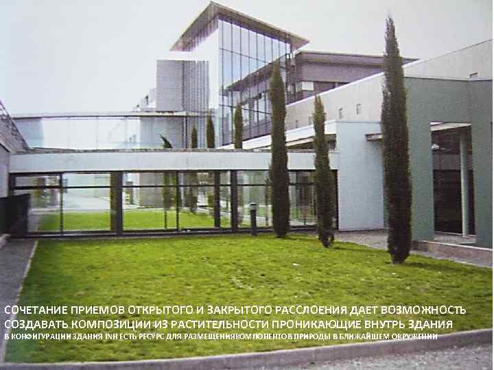 СОЧЕТАНИЕ ПРИЕМОВ ОТКРЫТОГО И ЗАКРЫТОГО РАССЛОЕНИЯ ДАЕТ ВОЗМОЖНОСТЬ СОЗДАВАТЬ КОМПОЗИЦИИ ИЗ РАСТИТЕЛЬНОСТИ ПРОНИКАЮЩИЕ ВНУТРЬ