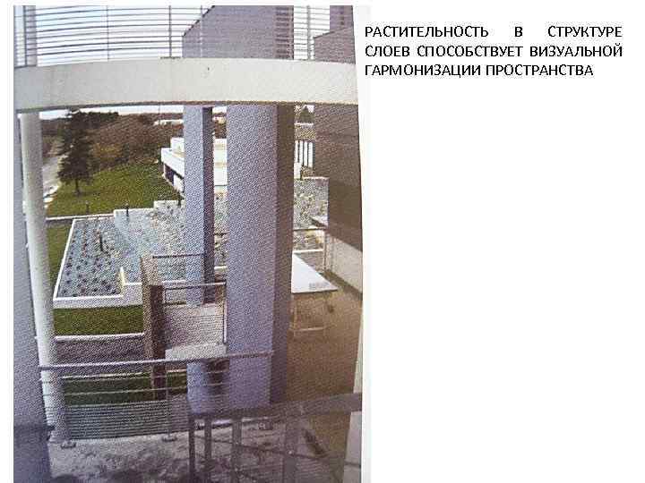 РАСТИТЕЛЬНОСТЬ  В  СТРУКТУРЕ СЛОЕВ СПОСОБСТВУЕТ ВИЗУАЛЬНОЙ ГАРМОНИЗАЦИИ ПРОСТРАНСТВА 