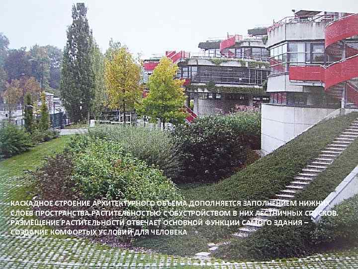 КАСКАДНОЕ СТРОЕНИЕ АРХИТЕКТУРНОГО ОБЪЕМА ДОПОЛНЯЕТСЯ ЗАПОЛНЕНИЕМ НИЖНИХ СЛОЕВ ПРОСТРАНСТВА РАСТИТЕЛЬНОСТЬЮ С ОБУСТРОЙСТВОМ В НИХ