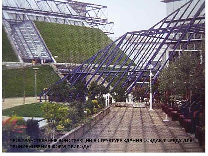 ПРОСТРАНСТВЕННЫЕ КОНСТРУКЦИИ В СТРУКТУРЕ ЗДАНИЯ СОЗДАЮТ СРЕДУ ДЛЯ ПРОНИКНОВЕНИЯ ФОРМ ПРИРОДЫ 