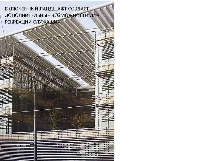 ВКЛЮЧЕННЫЙ ЛАНДШАФТ СОЗДАЕТ ДОПОЛНИТЕЛЬНЫЕ ВОЗМОЖНОСТИ ДЛЯ РЕКРЕАЦИИ СЛУЖАЩИХ 