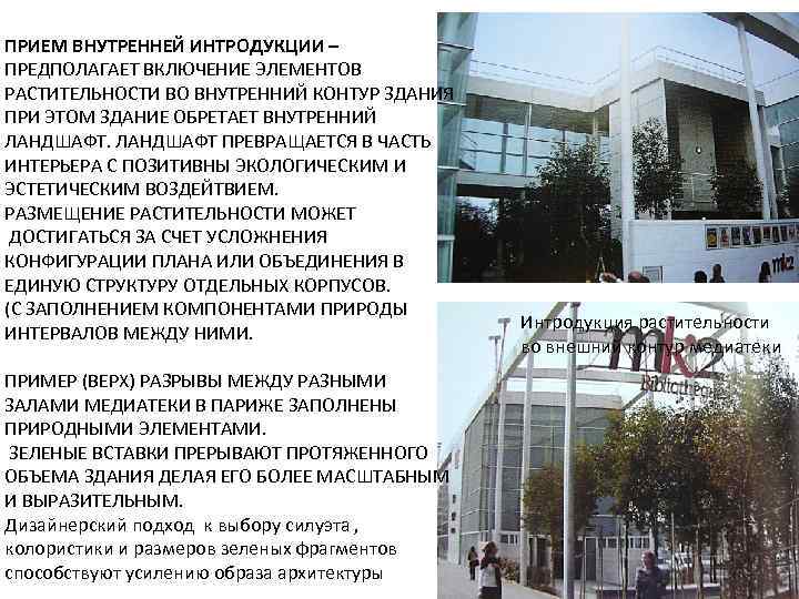 ПРИЕМ ВНУТРЕННЕЙ ИНТРОДУКЦИИ – ПРЕДПОЛАГАЕТ ВКЛЮЧЕНИЕ ЭЛЕМЕНТОВ РАСТИТЕЛЬНОСТИ ВО ВНУТРЕННИЙ КОНТУР ЗДАНИЯ ПРИ ЭТОМ