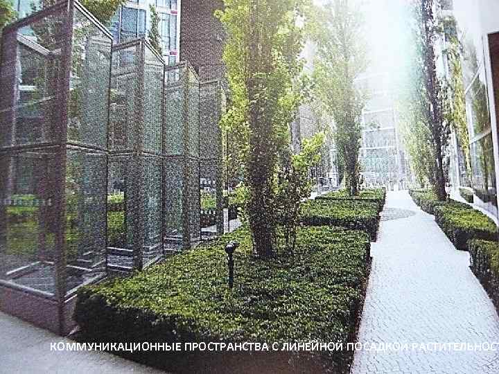 КОММУНИКАЦИОННЫЕ ПРОСТРАНСТВА С ЛИНЕЙНОЙ ПОСАДКОЙ РАСТИТЕЛЬНОСТ 