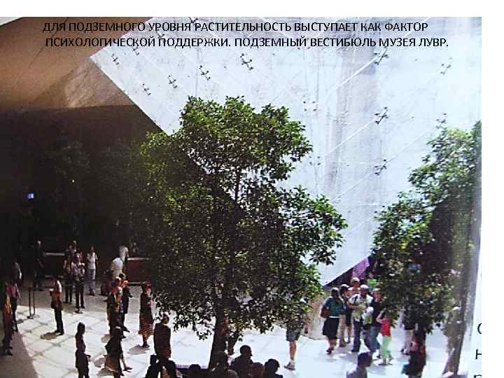 ДЛЯ ПОДЗЕМНОГО УРОВНЯ РАСТИТЕЛЬНОСТЬ ВЫСТУПАЕТ КАК ФАКТОР ПСИХОЛОГИЧЕСКОЙ ПОДДЕРЖКИ. ПОДЗЕМНЫЙ ВЕСТИБЮЛЬ МУЗЕЯ ЛУВР. 