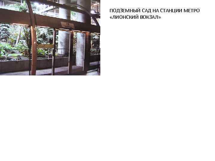 ПОДЗЕМНЫЙ САД НА СТАНЦИИ МЕТРО «ЛИОНСКИЙ ВОКЗАЛ» 