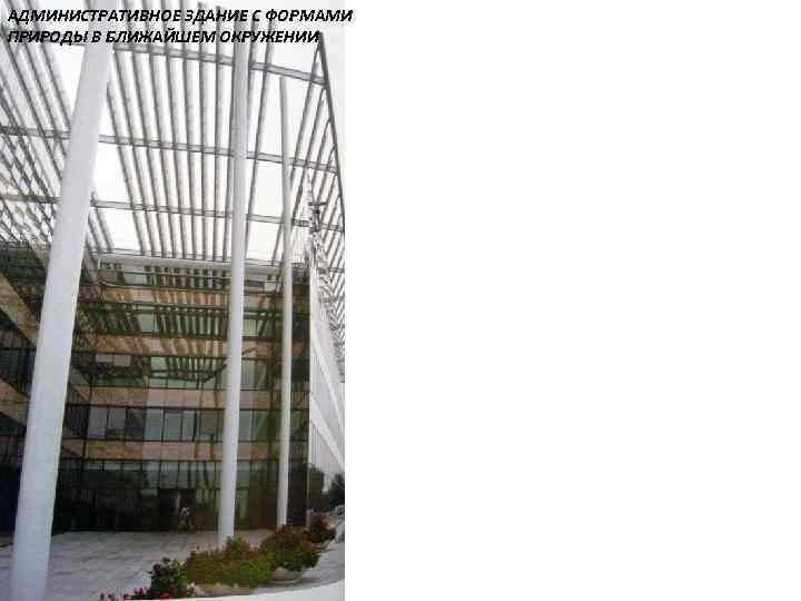 АДМИНИСТРАТИВНОЕ ЗДАНИЕ С ФОРМАМИ ПРИРОДЫ В БЛИЖАЙШЕМ ОКРУЖЕНИИ 