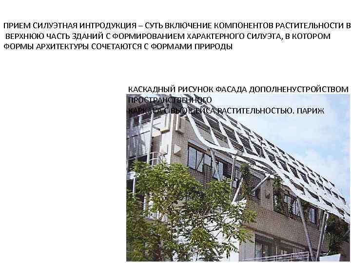 ПРИЕМ СИЛУЭТНАЯ ИНТРОДУКЦИЯ – СУТЬ ВКЛЮЧЕНИЕ КОМПОНЕНТОВ РАСТИТЕЛЬНОСТИ В ВЕРХНЮЮ ЧАСТЬ ЗДАНИЙ С ФОРМИРОВАНИЕМ