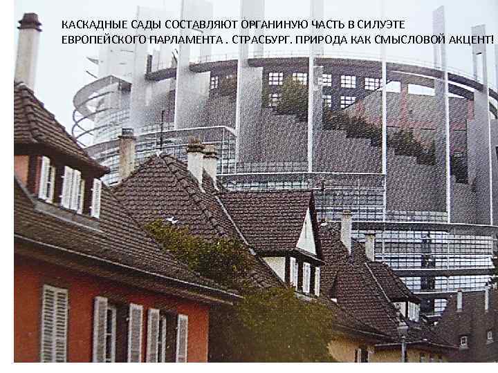 КАСКАДНЫЕ САДЫ СОСТАВЛЯЮТ ОРГАНИНУЮ ЧАСТЬ В СИЛУЭТЕ ЕВРОПЕЙСКОГО ПАРЛАМЕНТА. СТРАСБУРГ. ПРИРОДА КАК СМЫСЛОВОЙ АКЦЕНТ!