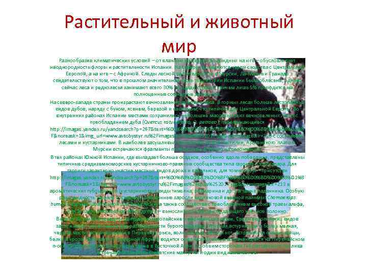  Растительный и животный   мир  Разнообразие климатических условий – от влажных