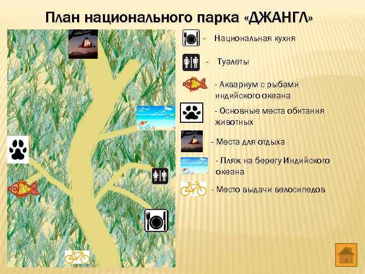 План национального парка «ДЖАНГЛ»     - Национальная кухня   