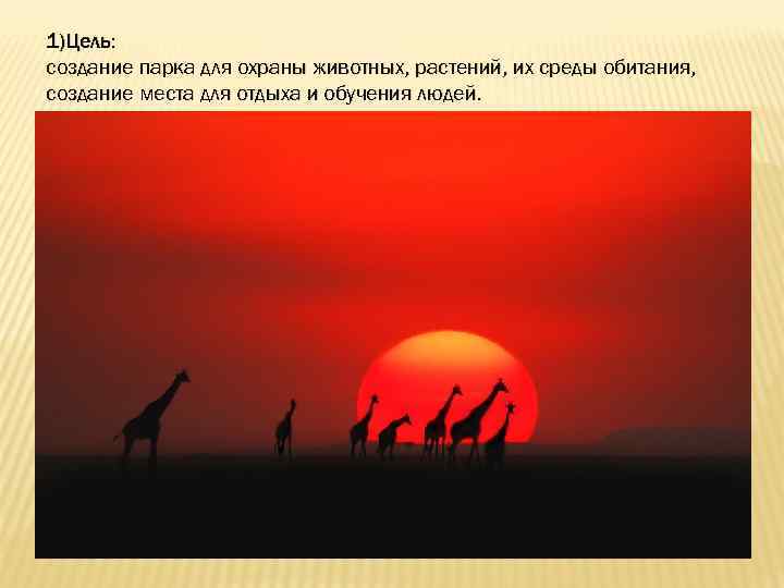 1)Цель: создание парка для охраны животных, растений, их среды обитания, создание места для отдыха