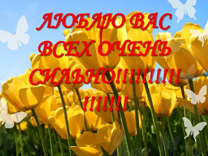 ЛЮБЛЮ ВАС ВСЕХ ОЧЕНЬ СИЛЬНО!!!!!!! 