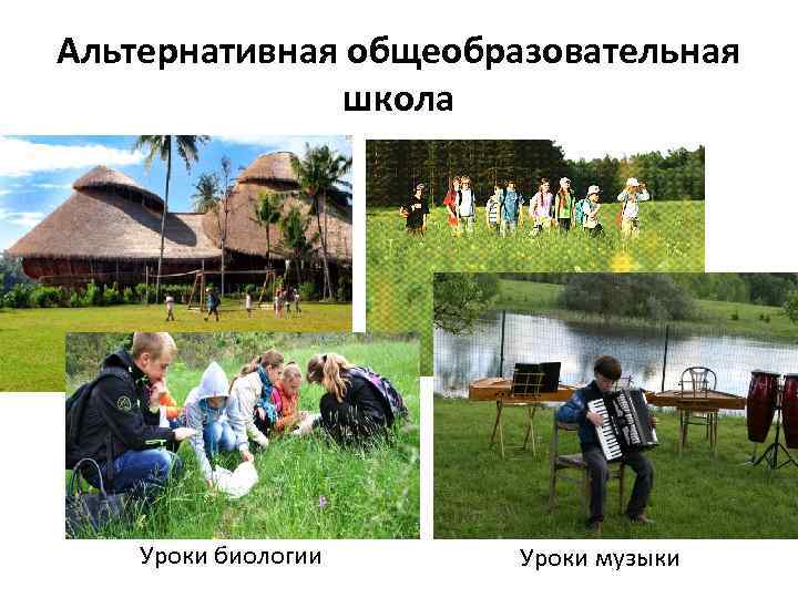 Альтернативная общеобразовательная    школа   Уроки биологии Уроки музыки 
