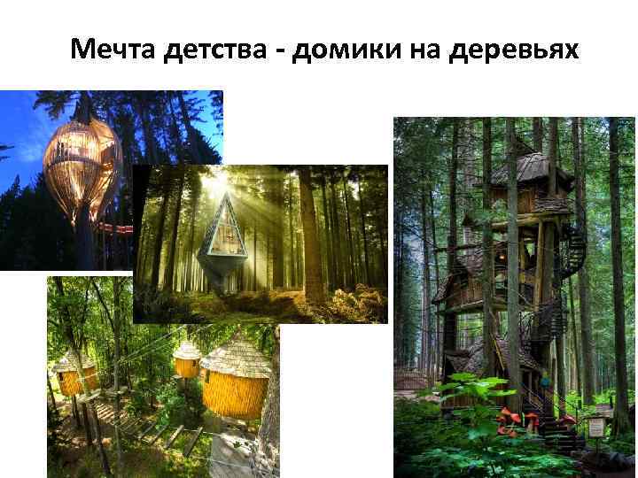 Мечта детства - домики на деревьях 