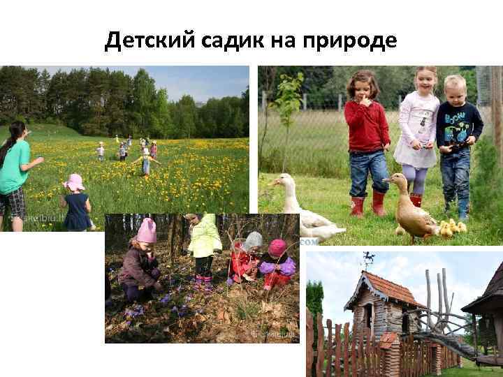 Детский садик на природе 