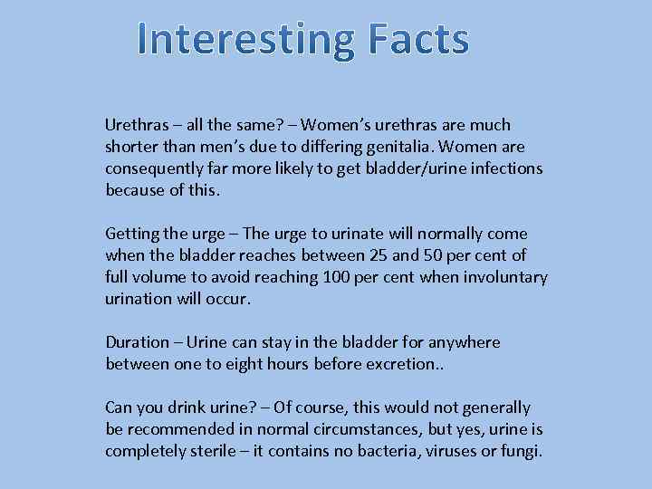 Urethras – all the same? – Women’s urethras are much shorter than men’s due