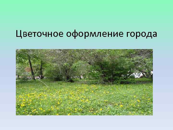 Цветочное оформление города 