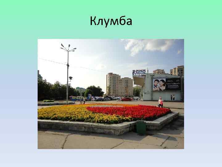 Клумба 